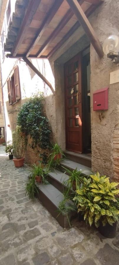 Villa Il Vicoletto Bolsena Exterior foto